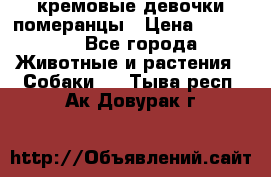 кремовые девочки померанцы › Цена ­ 30 000 - Все города Животные и растения » Собаки   . Тыва респ.,Ак-Довурак г.